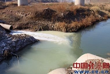 上海三爱富污染毫无顾忌奶白色污水直排河道