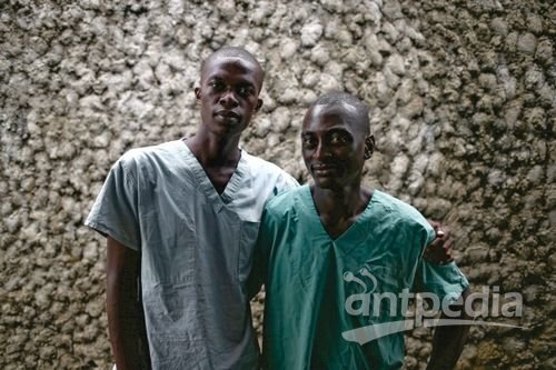 科学家支招国际救援:让幸存者再战埃博拉