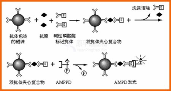 圖片.png