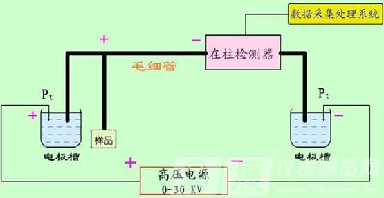 毛細管