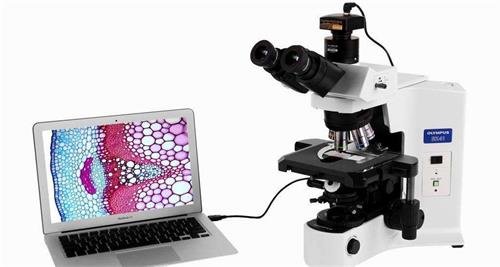 生物显微镜油镜的使用方法分析测试百科网wik