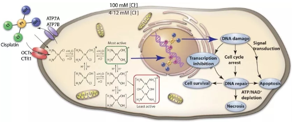 1530870533883574.png 图片.png
