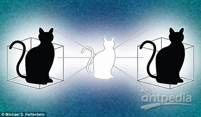 物理学家首次实现同处两地的薛定谔猫