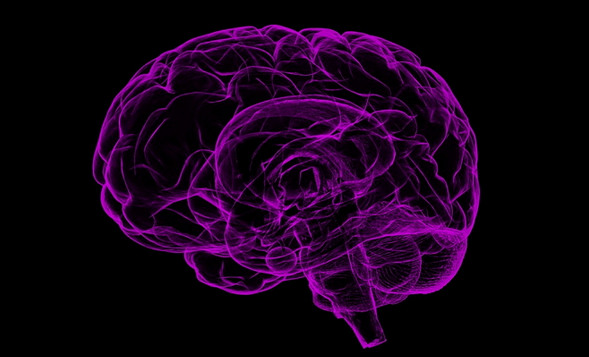 1542616024830481.png 图片.png
