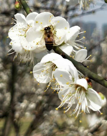 1548058340782514.png 图片.png