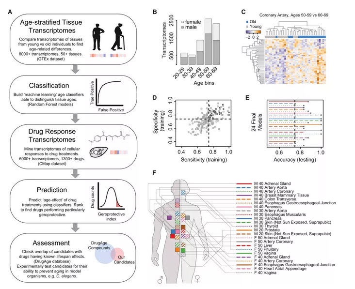 1555297404608351.png 图片.png