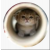 專家