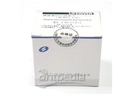 甲型流感病毒核酸测定试剂盒（荧光PCR法）