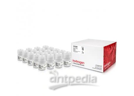 RNAlater™ 稳定液（含手册）   AM7023M