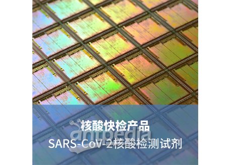 SARS-CoV-2核酸检测试剂