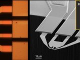 瑞士3D纳米结构高速直写机NanoFrazor——纳米加工新技术攻略