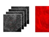 突破传统光学衍射限：新一代Nanoimager可轻松实现超分辨荧光成像