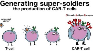 你所不知道的CAR-T细胞治疗“套”路（上）