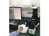 广州明慧倒置显微镜应用于广东珠海某生物工程公司