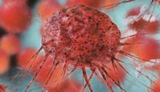 天下武功，唯快不破！看单细胞ICP-MS如何助力抗癌药物研究