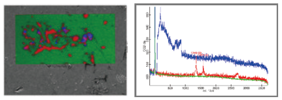 SEM-Raman图像，红色反映了高质量石墨烯的分布