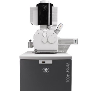 赛默飞Verios 5 XHR SEM 扫描电子显微镜