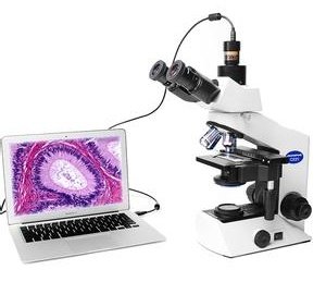 奥林巴斯生物显微镜低倍镜使用方法- 分析测试