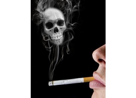 烟草检测标准物质