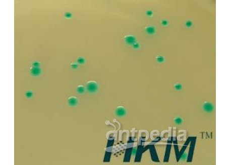 霍乱弧菌显色培养基(ChromogenicVibrioCholeraeAgar)