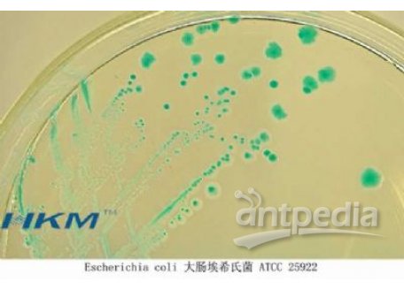 大肠杆菌显色培养基(ChromogenicE.coliAgar)