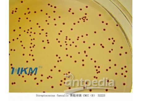 KF链球菌琼脂培养基(KFStreptococcousAgar)