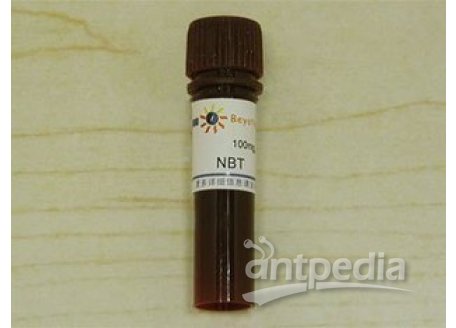 NBT氯化硝基四氮唑兰