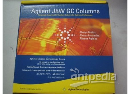 AgilentGS-CarbonPLOT气相色谱柱/安捷伦/气相色谱柱