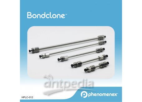 飞诺美Bondclone液相色谱柱LC Column 250 x 3.9 mm