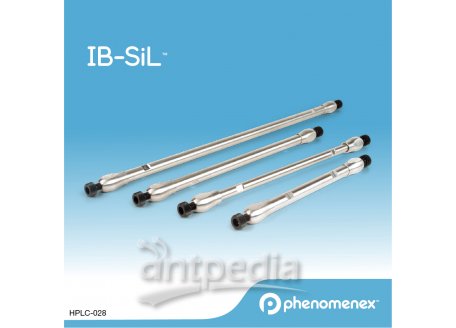 飞诺美IB-Sil液相色谱柱LC Column 250 x 4.6 mm