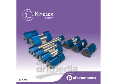 飞诺美Kinetex液相色谱柱LC Column 250 x 21.2 mm, AXIA™ Packed