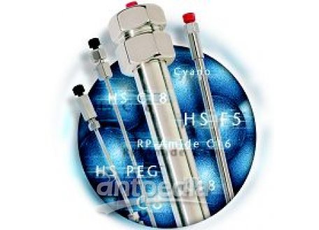 Discovery  HS F5 高效液相色谱柱