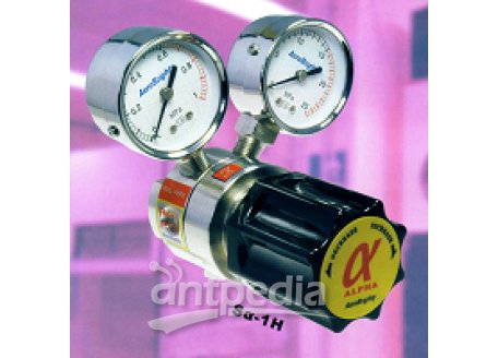Sα-2H双级减压氢气减压器(含转接头)