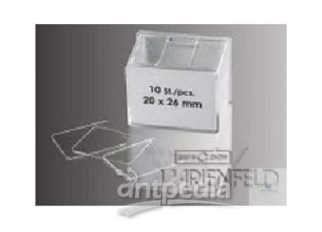 HAEMACYTOMETER-COVER GLASSES, 22 X 22 MM, THICKN. 0,4 MM,  NOT TESTED (ONLY EXPORTATION), OPT. PLANE