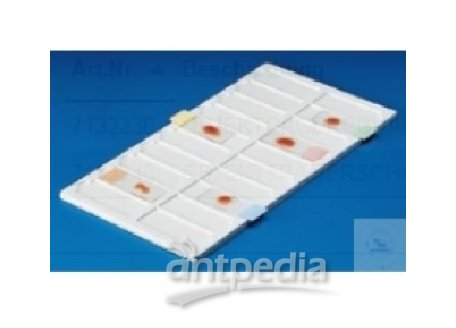 TRAY FOR MICROSCOPIC SLIDES, PVC, FOR   20 SLIDES 76 x 26 MM, DIMENSION 340 x 190 x 8 MM