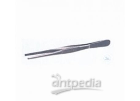 Forceps, length: 200 mm, blunt, straight, stainless steel