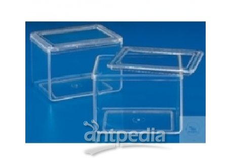 STAINING JARS, PMP, WITH 2 COVERS,  101 X 81 MM, HEIGHT 86 MM CRYSTAL GLASS