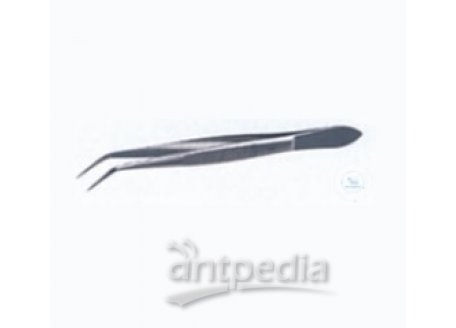 Forcep, length: 130 mm, with guide pin, pointed bent  stainless steel
