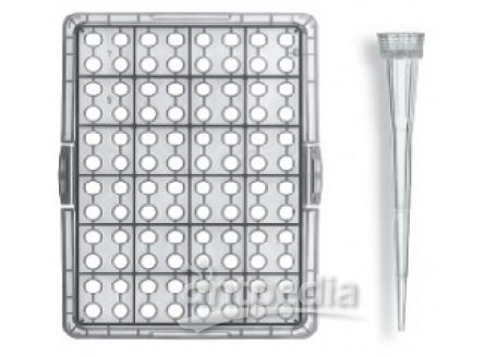Tip-Box, PP,1 box with 96 tips 0,5-20μl on grey mounting plate