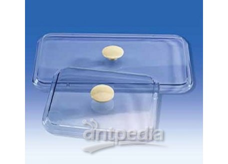 Lid with handle, PS, transparent, for instrument trays, 190 x 150 mm