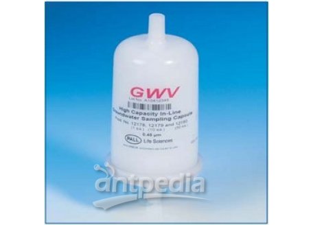 GWV大容量地下水取样囊式滤器