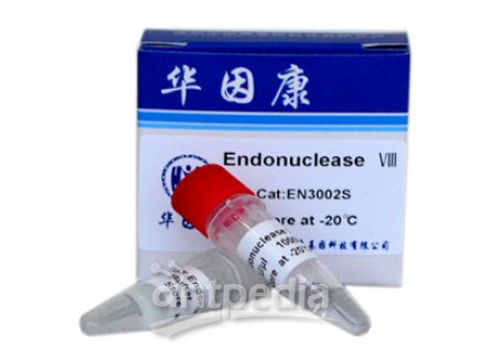 EndonucleaseVIII
