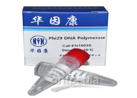 Phi29DNAPolymerase