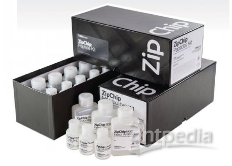 ZipChip 肽段分析试剂盒