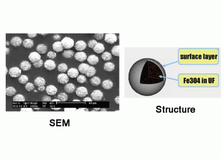 脲醛树脂磁性微球，基质:UF,表面基团:-SiOH,粒径:2-3μm,单位:10mg/ml