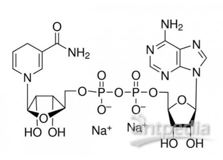 还原型辅酶I 二钠(β-NADH)，606-68-8，≥95%