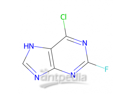 6-氯-2-氟嘌呤，1651-29-2，97%