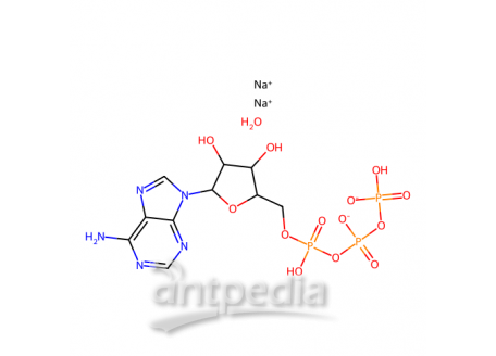 腺苷-5′-三磷酸 二钠盐 水合物，34369-07-8，98%