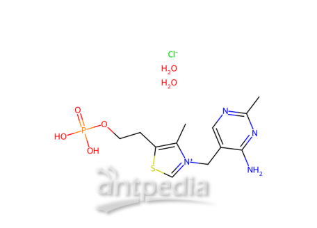 一磷酸硫胺氯化物 二水合物，273724-21-3，≥99%