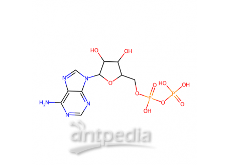 腺苷-5’-二磷酸，58-64-0，10mM in DMSO